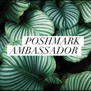 Posh Ambassador